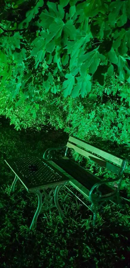 Naturist Angel Nudist Club Hotel - Adults Only باراديسيون المظهر الخارجي الصورة